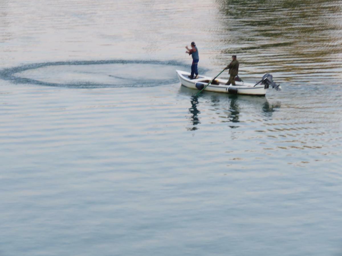 Alla Foce Del Magra - Appartamenti Sul Fiume Con Posto Barca Vicino Cinque Terre Ameglia Exterior foto